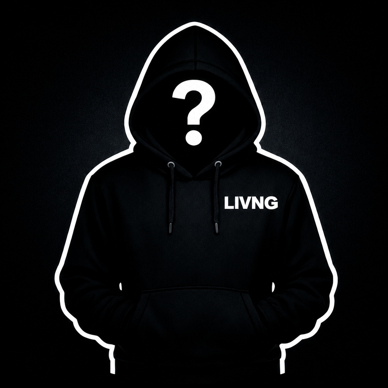Mystery Hoodie