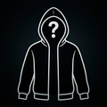 Mystery Hoodie